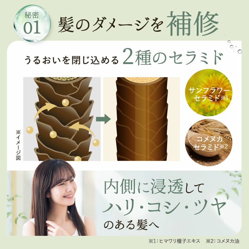 楽天1位 10冠獲得】 シャンプー トリートメント セット