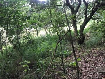大坑大學段地坪1174.65坪農地｜台中市北屯區大學段