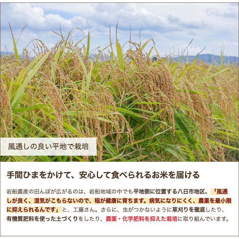 特別栽培米（減農薬・減化学肥料）岩船産コシヒカリ 精米10kg 岩船農産 送料無料