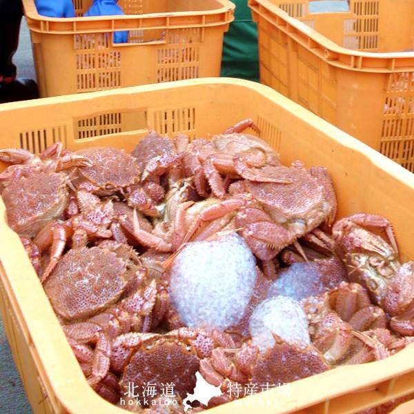 毛がに 1.5kg（3尾入）ボイル かに 北海道産 毛蟹 姿［お歳暮 2023 ギフト 御歳暮］