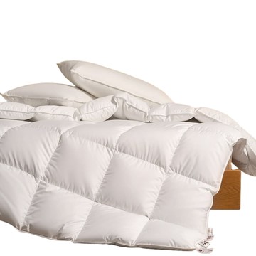 羽絨/羽毛被 200x230cm【重約5.5斤 加厚冬被】羽絨被 冬被白鴨絨被子 鴨絨被 加厚被子 被芯冬季被子