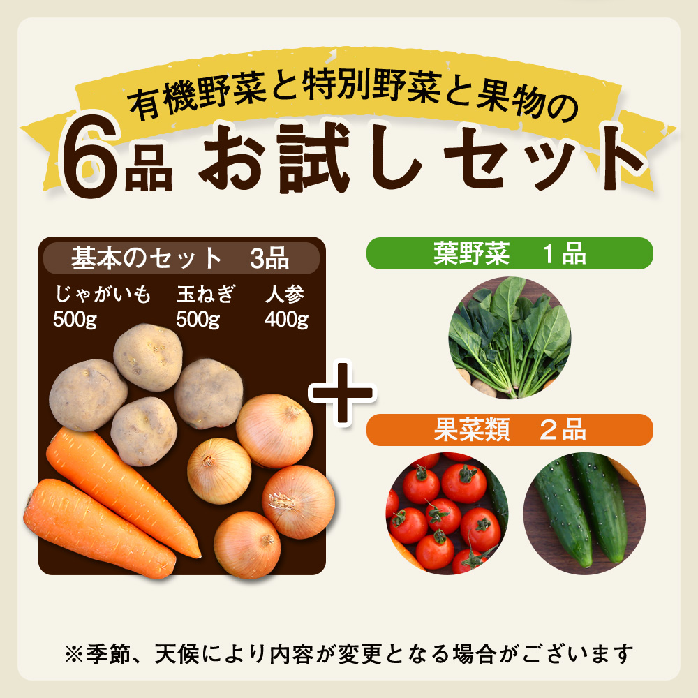 OKAWARI旬の野菜 6品お試しセット（有機野菜と特別野菜と果物）