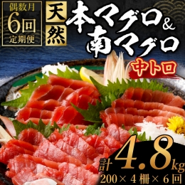 天然本マグロ　天然南マグロ　中トロ　各２柵　偶数月にお届け