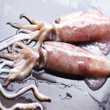 【海之醇】鮮美活凍透抽-6包組(300g±10%/包/2隻)