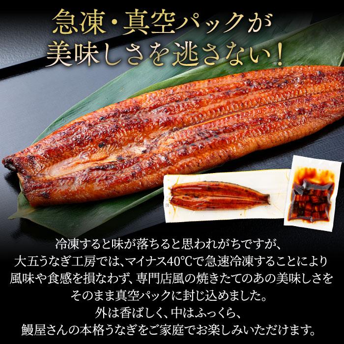 国産うなぎ蒲焼き 長蒲焼(小)1尾＆贅沢きざみ2パックセット お歳暮 うなぎ 鰻  ウナギ 食べ物 プレゼント グルメ 送料無料