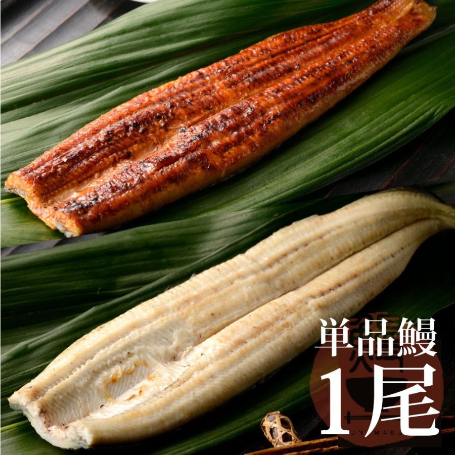 うなぎ 鰻 蒲焼 白焼き 特大 国産 1尾単品