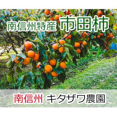 ふるさと納税 高森町 2023年12月末以降順次発送　市田柿　170g×4パック