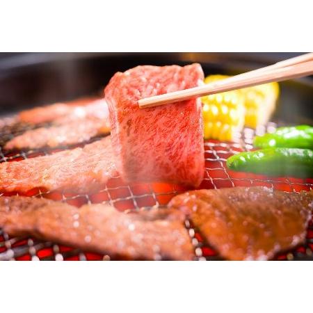 ふるさと納税 本場！飛騨直送！！極上飛騨牛セット　焼肉 しゃぶしゃぶ ステーキ 和牛 牛肉 下呂温泉】 岐阜県下呂市