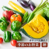 AA004＜12か月定期便＞旬の採れたてぜいたく野菜セット（卵付き）2人用