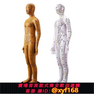 {可打統編 保固一年}中醫針灸穴位人體模型扎針教學男女全身十二經絡小皮人矽膠模特擬
