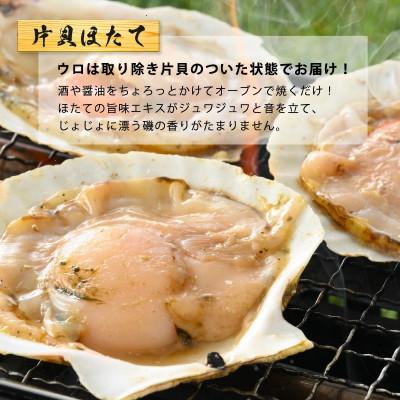 ふるさと納税 越前町 海鮮 BBQ おつまみセット「越前えび  片貝ほたて」