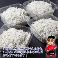 釜揚げしらす 2kg（500g×4）