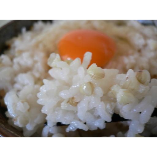 そばの実 500g 会津産