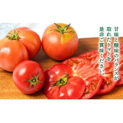 ふるさと納税 八代市 熊本県八代市産 規格外トマト 約2kg 