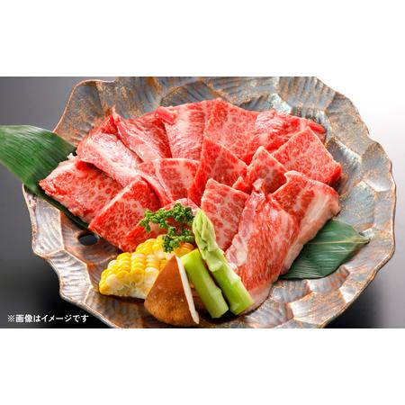 ふるさと納税 肥後のあか牛 焼肉用 500g（熊本県産和牛）スライス　計3回発送 熊本県八代市