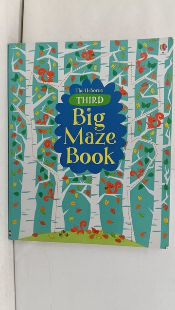 【書寶二手書T1／少年童書_Y53】Third Big Maze Book_Robson, Kirsteen