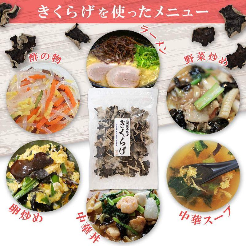 博屋 九州産 熊本県産 乾燥きくらげ 100g 業務用 チャック袋入