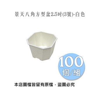 景天八角方型盆2.5吋(3號)-白色   100個/組