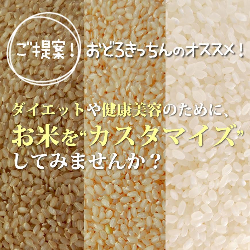  お米 10kg イクヒカリ 10kg 5kg×2袋 令和5年産   お祝い お歳暮 ギフト お取り寄せグルメ　 鹿児島県