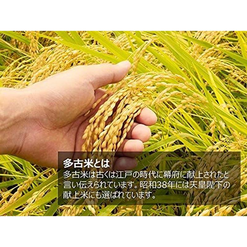 多古米 白米 コシヒカリ 5kg 令和5年産 千葉県産 新米 美味しい お米 高級米（白米5kg）