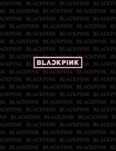  BLACKPINK   BLACKPINK 公式PHOTO BOOK『BLACKPINK』 送料無料