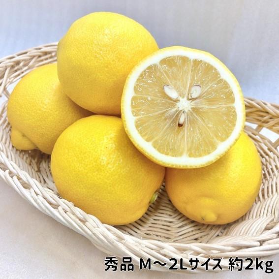 国産レモン 秀品 愛媛・広島県産 M~2L 約2kg