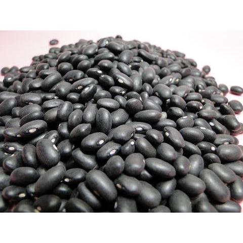 ブラックビーンズ（黒いんげん豆）[500g]Black Beans