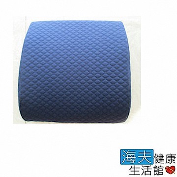 WELL LANDS 關愛天使 海夫 記憶泡棉腰靠墊