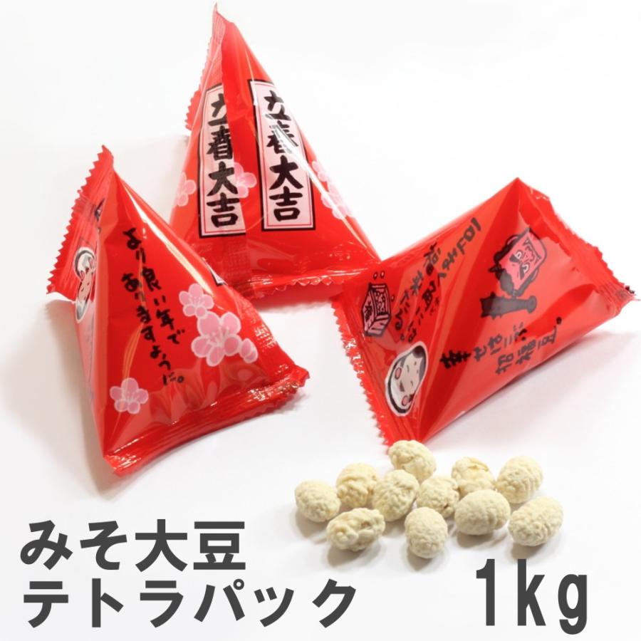 みそ大豆テトラパック 1kg×3袋 南風堂 業務用 九州産フクユタカ 個包装