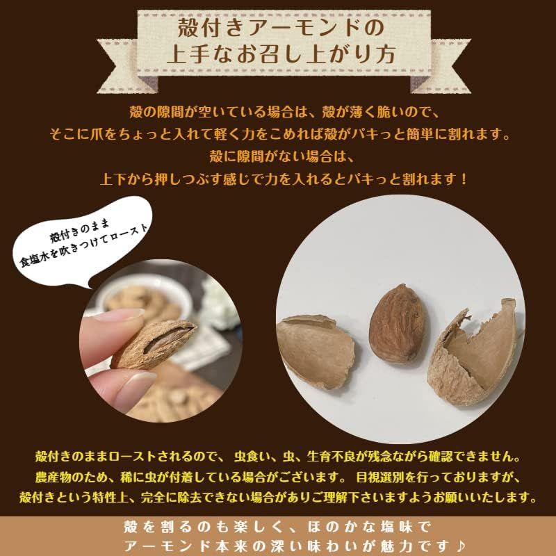 殻付きアーモンド 500g 塩味 ロースト