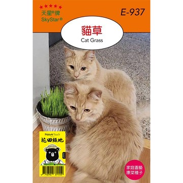 花田綠地種子 貓草