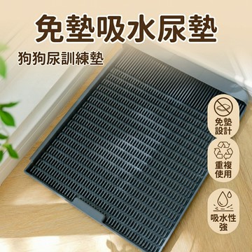 【台灣現貨】 免墊吸水寵物尿墊 寵物尿墊 尿墊 訓練尿墊 尿盆