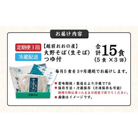 ふるさと納税 越前大野産 石臼挽き 越前そば 生そば5食 × 3回 計15食（つゆ付） 福井県大野市