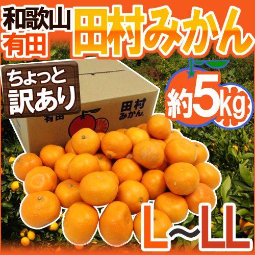 みかん 和歌山有田産 ”田村みかん” ちょっと訳あり L〜LL 約5kg 産地箱 送料無料