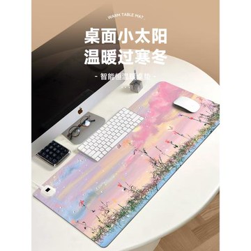 油畫花朵加熱鼠標墊辦公室大號可愛防凍手電腦暖桌墊恒溫定時桌面鼠標暖手寶學生學習寫字發熱保暖防水皮革墊