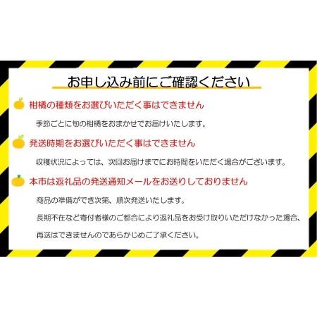 ふるさと納税 (2)自然塾　季節の柑橘詰合せ 三重県熊野市