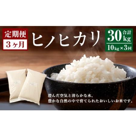 ふるさと納税  大分県産 ヒノヒカリ 10kg×3ヶ月 計30kg 大分県竹田市