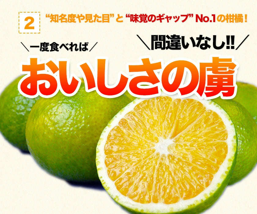 スイートスプリング 1.5kg 訳あり 熊本県産 送料無料 旬 の みかん   (3L〜Sサイズ 3L-S混合)  12月上旬〜12月下旬頃より発送予定