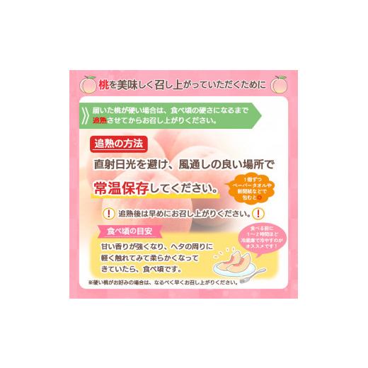 ふるさと納税 山形県 山形市 やまがたの桃(白桃・黄桃詰合せ)  品種お任せ 白桃＆黄桃 秀品 約3kg(6〜12玉程度) FS23-813