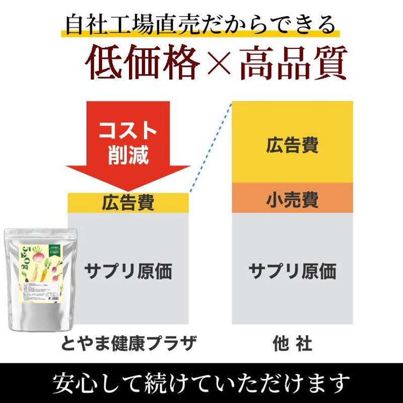 クーポン配布中】 難消化性 デキストリン 渡邊薬品 サプリ 食物繊維