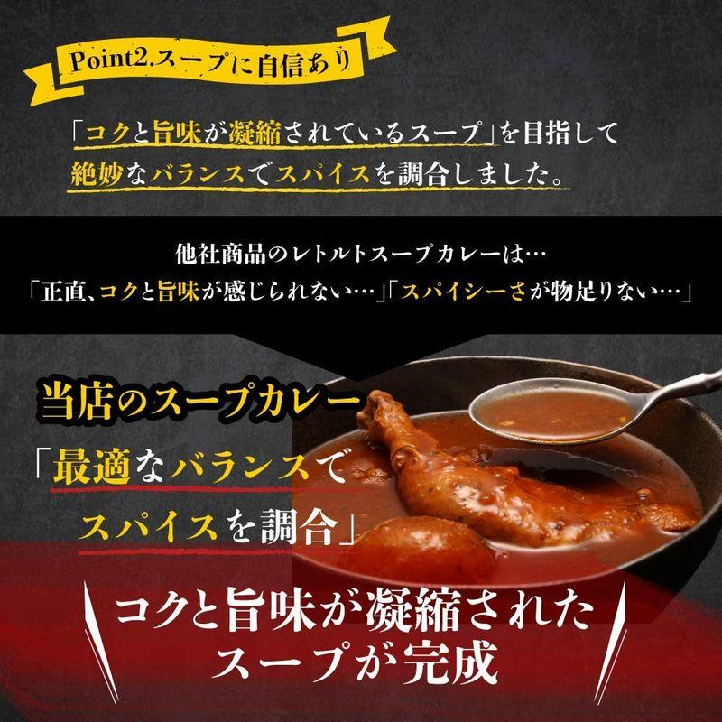 絶品チキンの札幌スープカレー 300g×2食セット レトルト 保存食にも