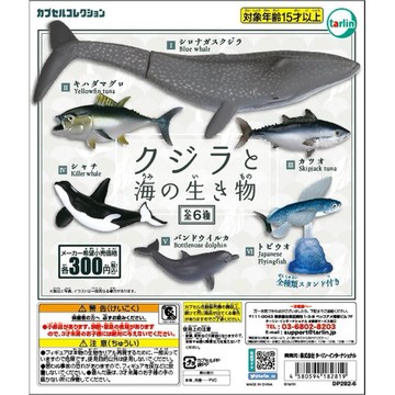 Beau特佛toys 現貨 Tarlin 轉蛋 扭蛋 鯨魚與海洋生物 整套全6款 0411