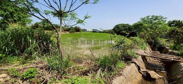 新豐福興段大面寬鄰路美又廉節稅農地｜新竹縣新豐鄉後湖子