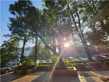 15336獨家~果貿雙面採光三房｜高雄市左營區中華一路