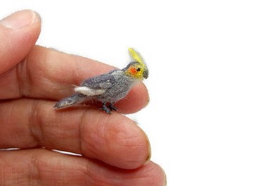 鸚鵡公雞，娃娃屋的縮影。