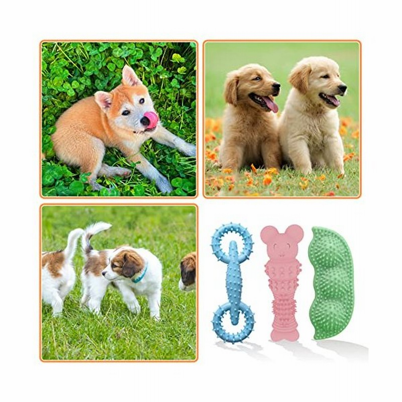 Iifonii 犬 おもちゃ いぬのおもちゃ 犬用 犬 噛むおもちゃ 歯ぎ清潔 デンタルケア 安全无毒 運動不足やストレス解消 中小型犬に適 天 通販 Lineポイント最大get Lineショッピング