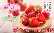 いちご職人 白木のいちご 「あまおう2P」と「旬のいちご2P」食べ比べセット