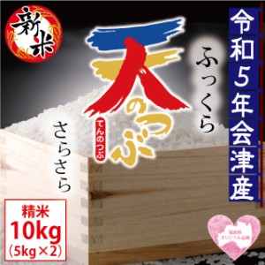 新米 天のつぶ 精米 10kg（5kg×2）会津産 令和5年産 ※九州は送料別途500円・沖縄は送料別途1000円