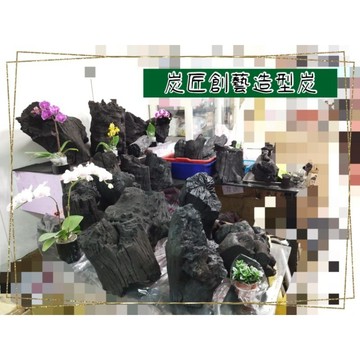 🍀炭匠創藝造型炭🍀-歡迎挑選洽購💞獨一造型🍀盆栽🍀造景🍀園藝🍀除濕🍀風水擺設🪴透明價格-現場秤重👍1斤$150👍