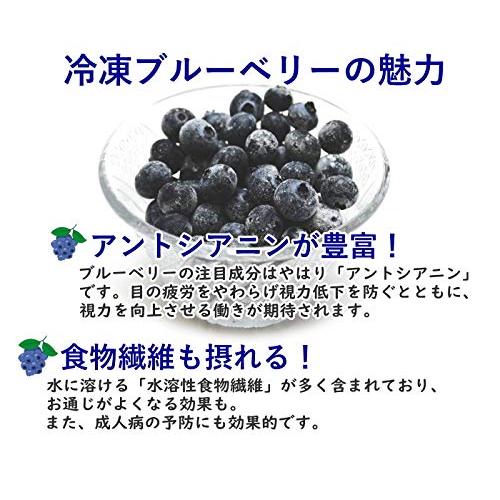 ルクール 冷凍ブルーベリー 1kg 山形産 完熟 ブルーベリー 冷凍 フルーツ お菓子作り 様々なレシピで大活躍